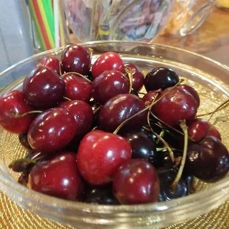 романс Хотел 3*